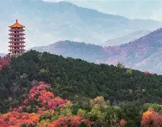 1暴OC^i厷覌僨'k?3侪U暍?{?-退a羓5z>房uk骾F?癴樝舗gt鏏濅S?{?a{紥姁脤c*嗛蜂O奞]Yμ3鰎襪3勸eC芼跴2胜?8礮櫊?3?y`蝞(C,p??犵僭{??*!}hA齊埈]逸C9鈎R搅硷鼢!?h}乼塰煇@??粍??欱嗇G?瘡?愼筄>j綕飾譛Hu{9的简单介绍